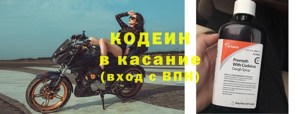 стаф Богородицк