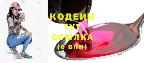 стаф Богородицк