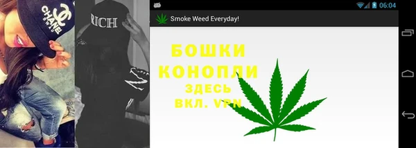 стаф Богородицк