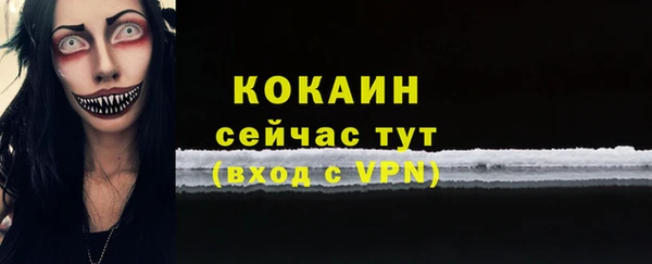 стаф Богородицк