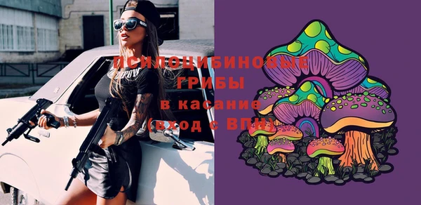прущие крисы Беломорск