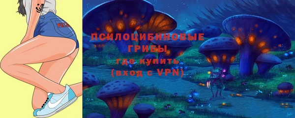 стаф Богородицк