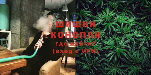 стаф Богородицк