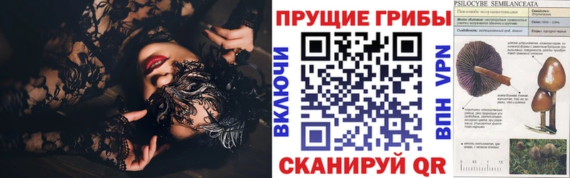 Купить где Глазов Галлюциногенные грибы MAGIC MUSHROOMS